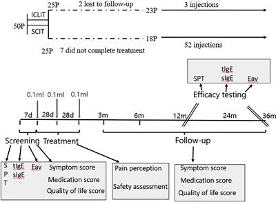 Intra-cervical lymphatic immunotherapy for dust mite-induced allergic rhinoconjunctivitis in children: a 3-year prospective randomized controlled trial